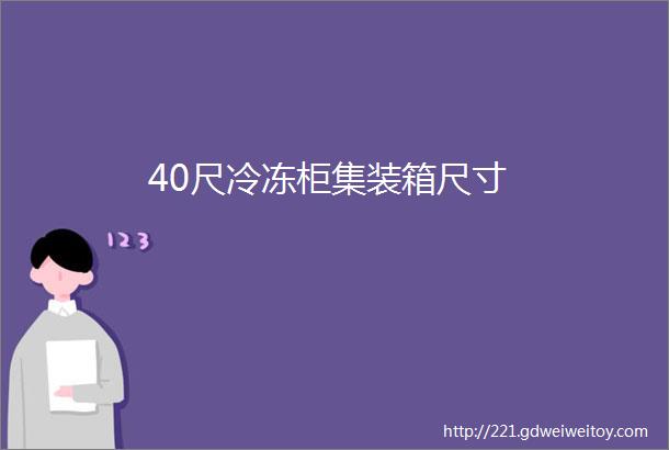 40尺冷冻柜集装箱尺寸